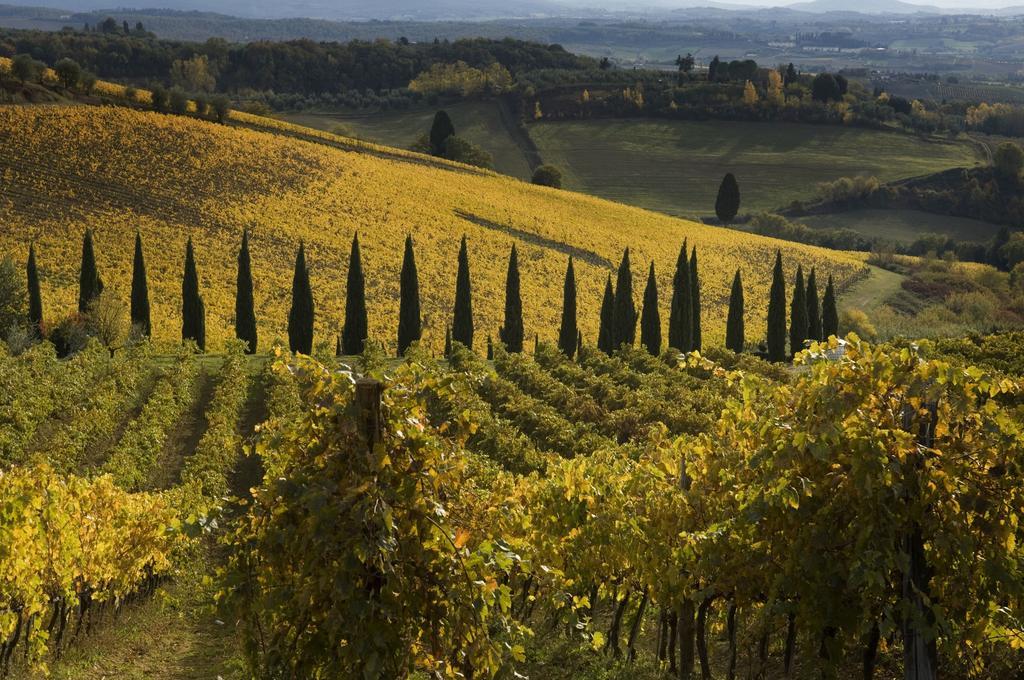 Agriturismo Campo Lungo San Donato in Poggio Стая снимка